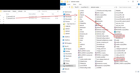 darknet carding sites