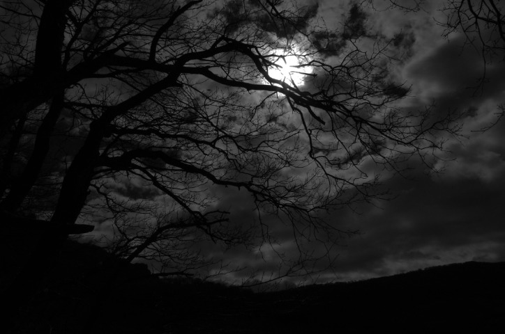 dark web search engines 2023