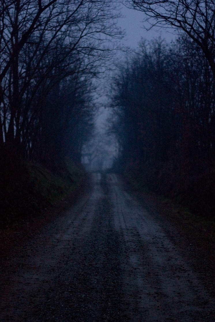 dark web markets reddit 2025