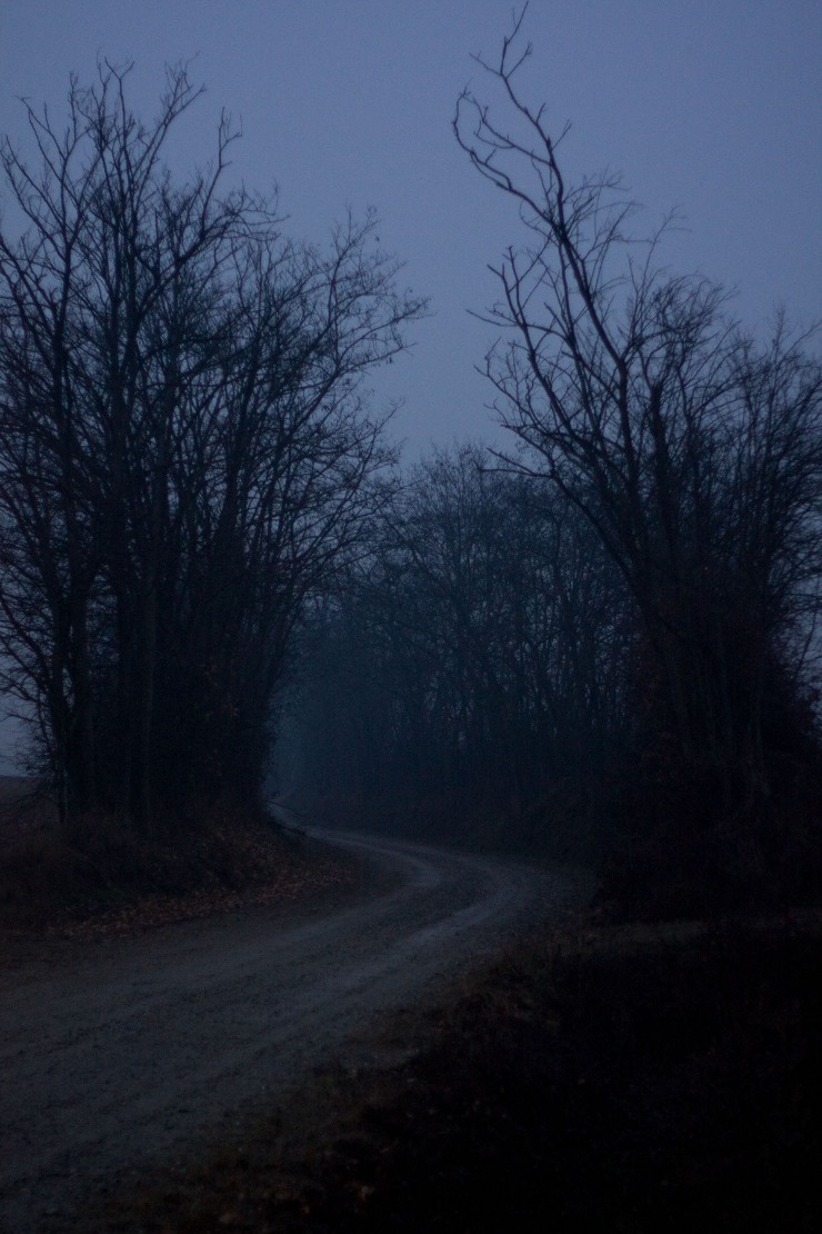 dark web markets reddit 2025