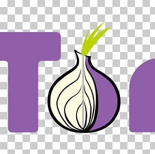 dark web onion markets