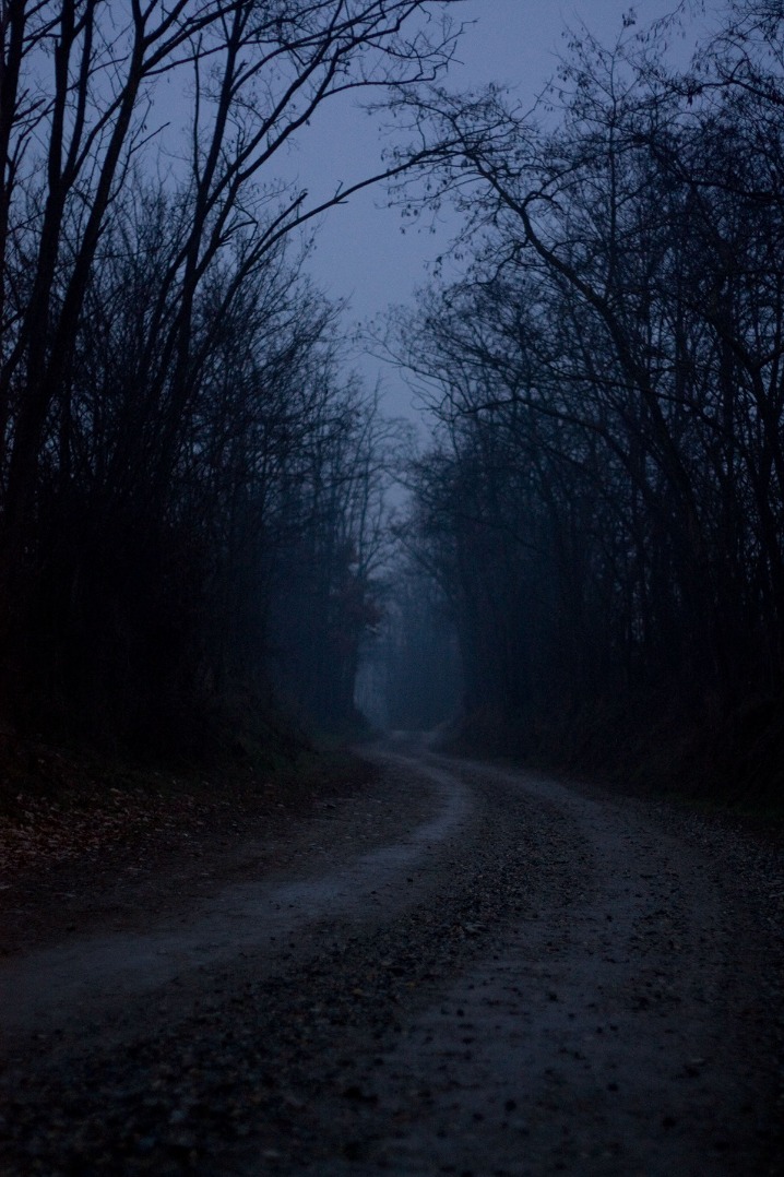 dark web links reddit