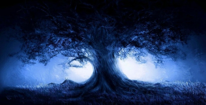 dark web illegal links