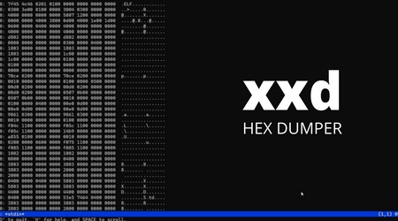 how to access dark web safely