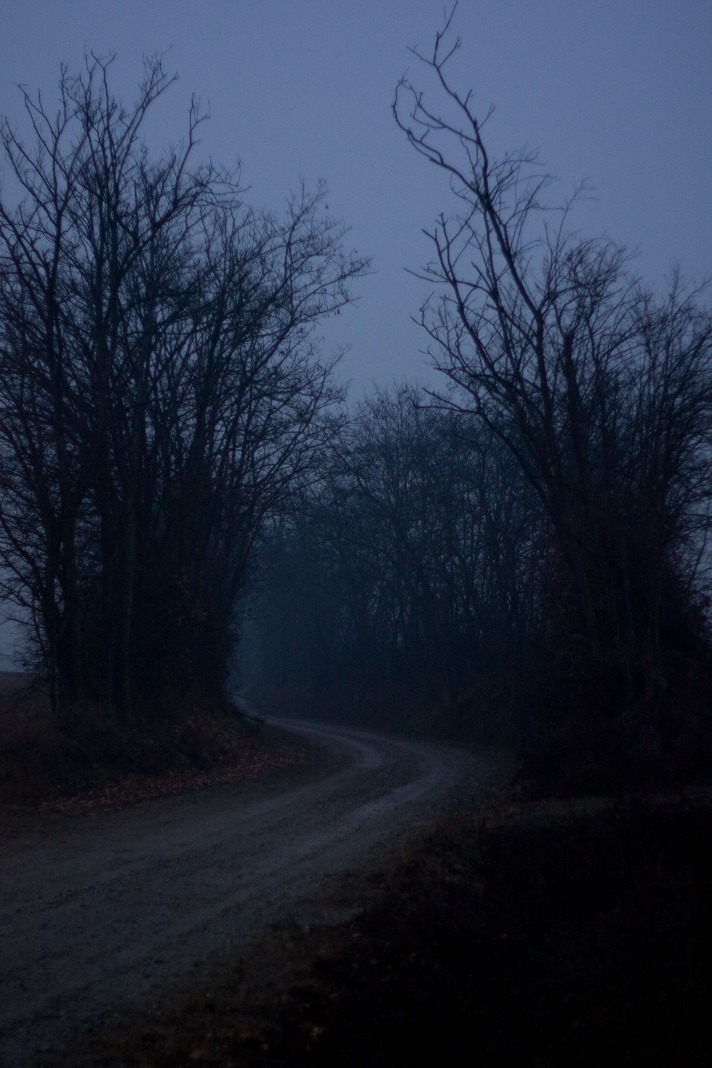 dark markets singapore